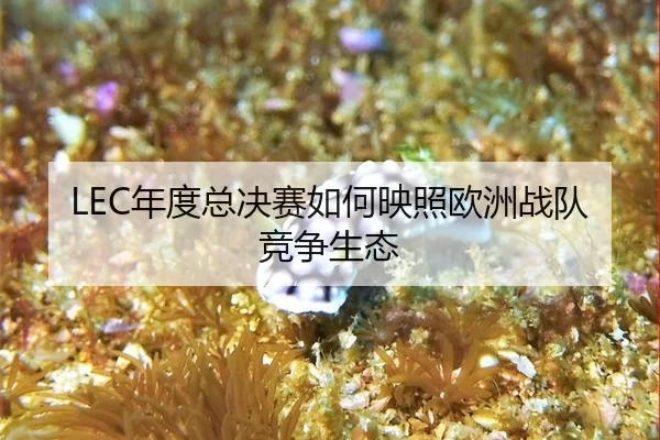 nian-du-zong-jue-sai-ru-he-ying-zhao-ou-zhou-zhan-dui-jing-zheng-sheng-tai-2-292.jpg